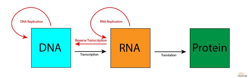 Microbiology Key Concepts Diagram